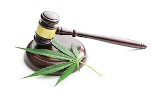 Bronx marijuana possession defense attorney